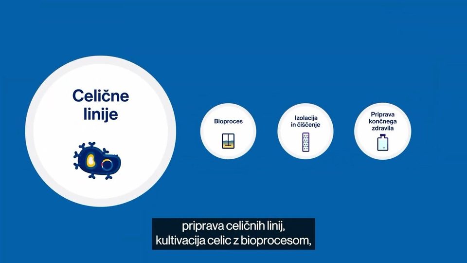 Animacija petih korakov razvoja: celične linije