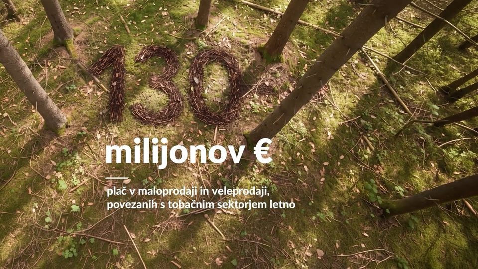 Podatek 130 milijonov evrov, izrisan v gozdu
