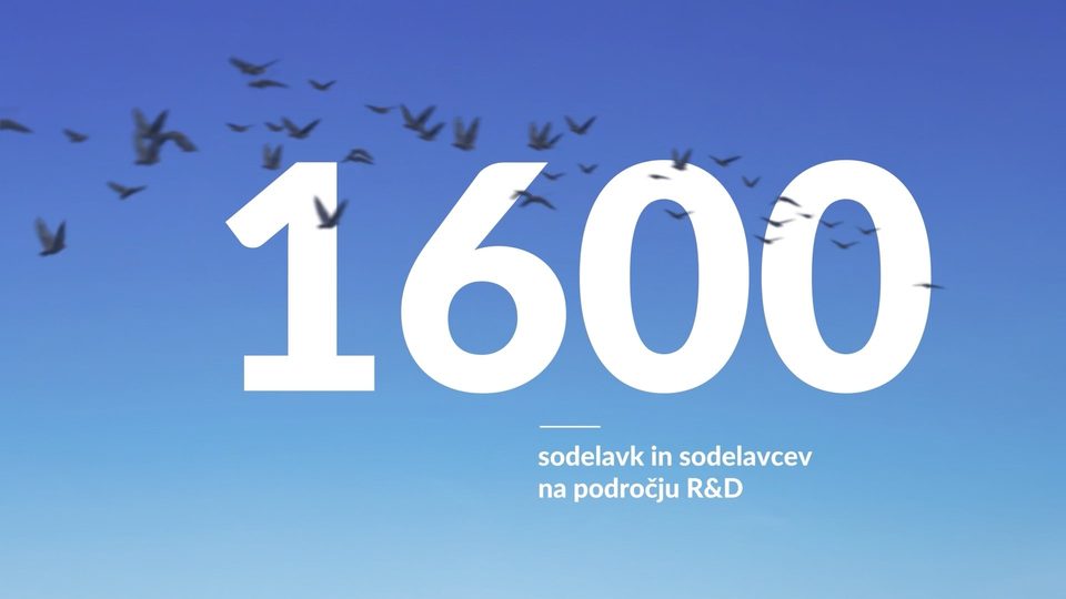 Podatek 1600, ki ga izpiše jata ptic