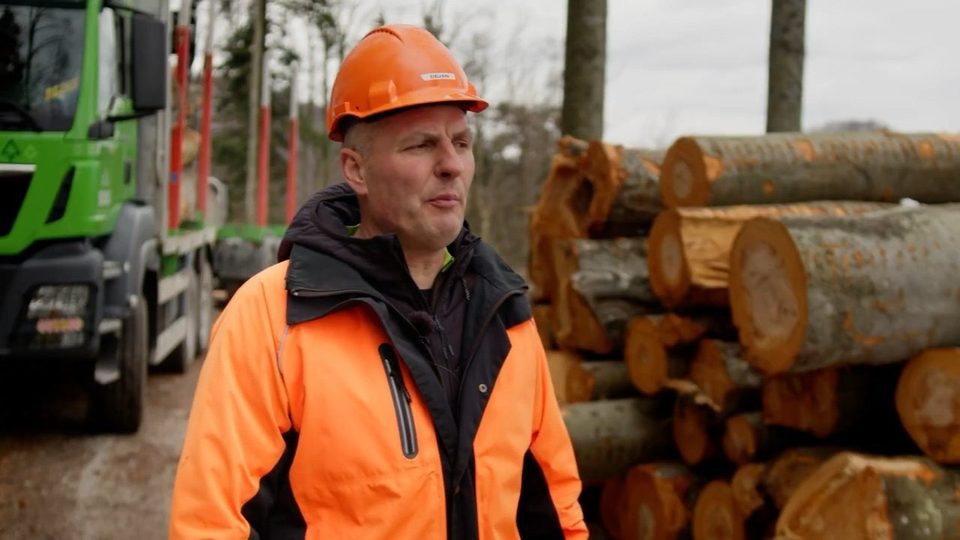 Gozdar v oranžni čeladi pred skladovnico hlodov